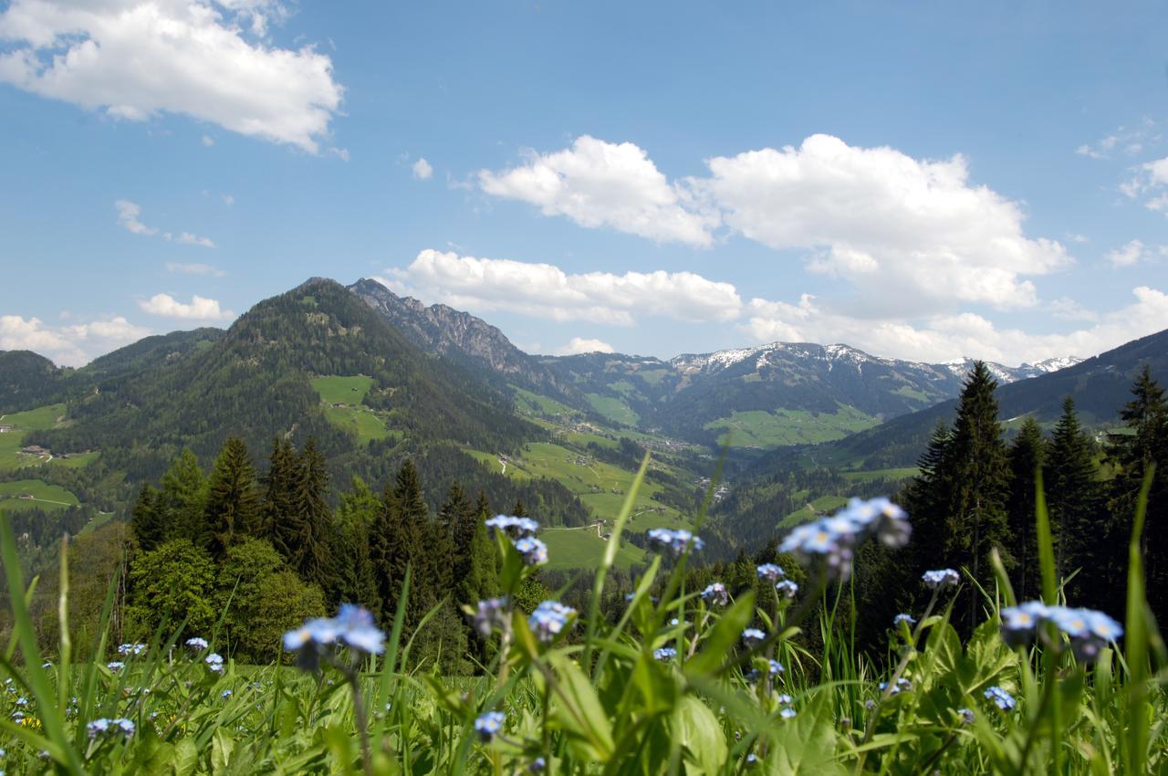 Bergchalet Rauchenhof Reith im Alpbachtal Exteriér fotografie